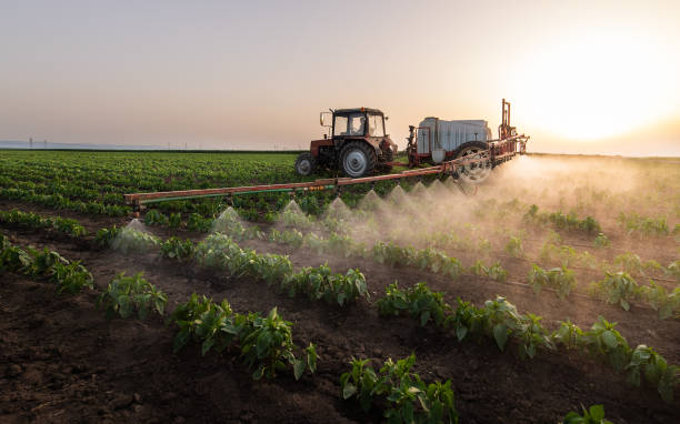 Best Commercial Pest Control Services  in Sealy, TX