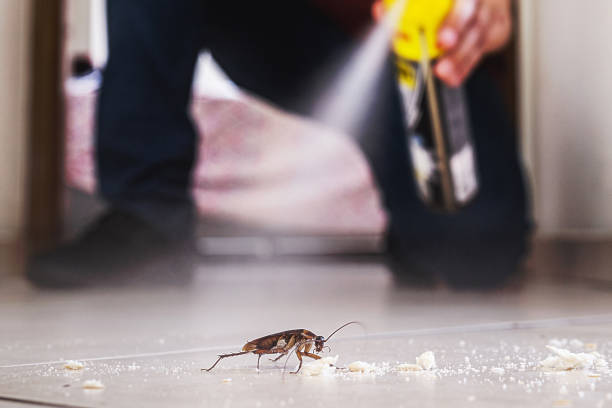 Professional Pest Control in Sealy, TX