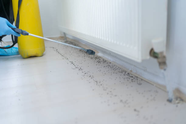 Best Best Pest Control Companies  in Sealy, TX