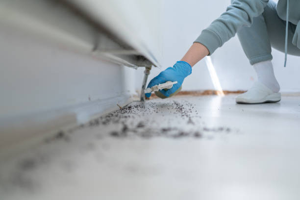Pest Control Cost in Sealy, TX